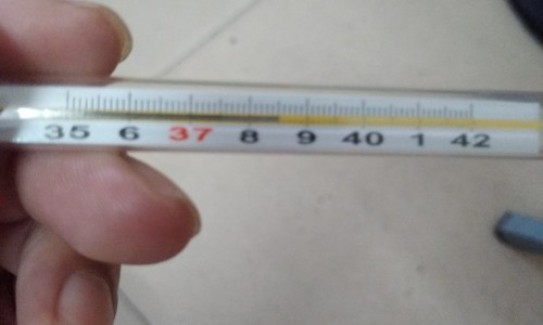 苍耳虫治什么病最厉害-苍耳虫药用功效与作用网 | 苍耳虫治什么病最厉害,苍耳虫药用功效与作用及禁忌